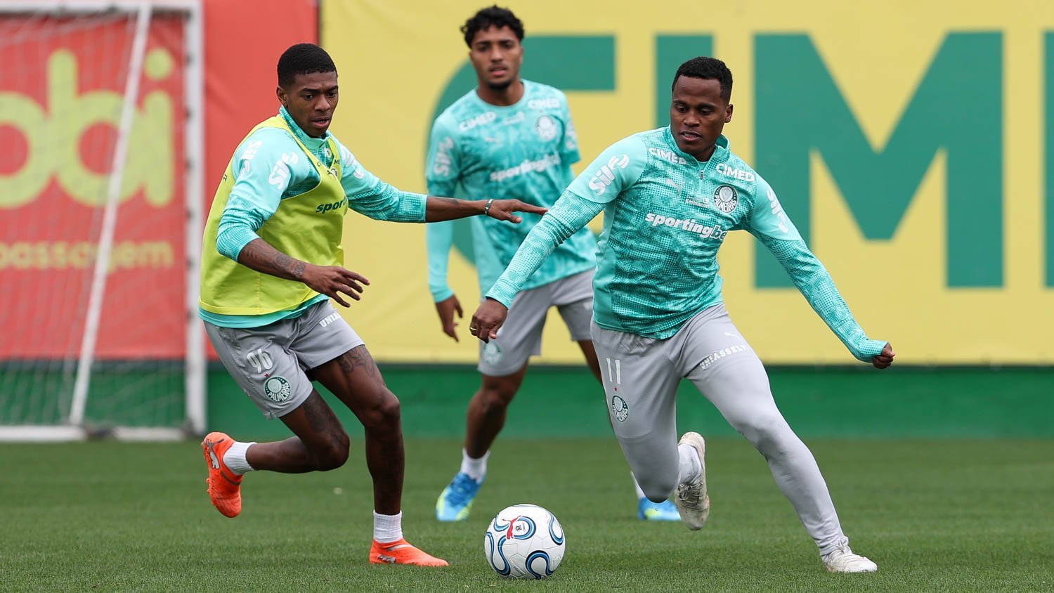 Palmeiras inicia preparação para enfrentar a LDU pela Libertadores